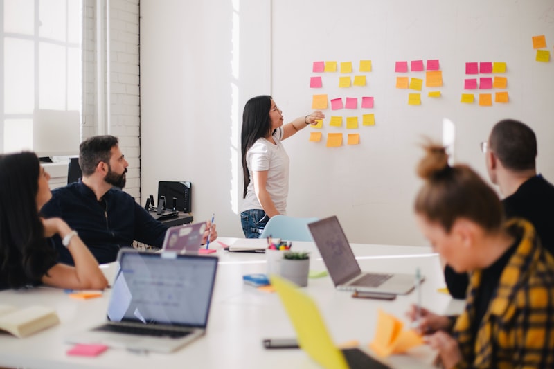 Professional project management